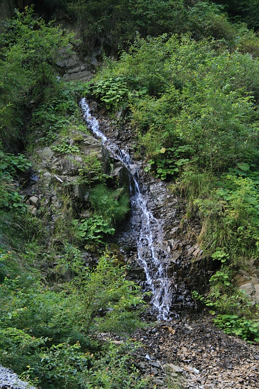 Original image
